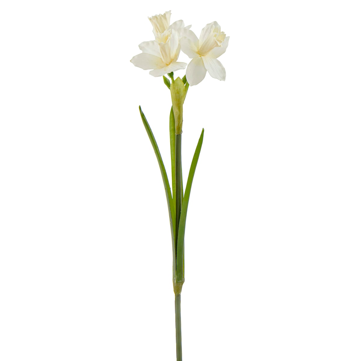 20.5" Natural Touch White Daffodils