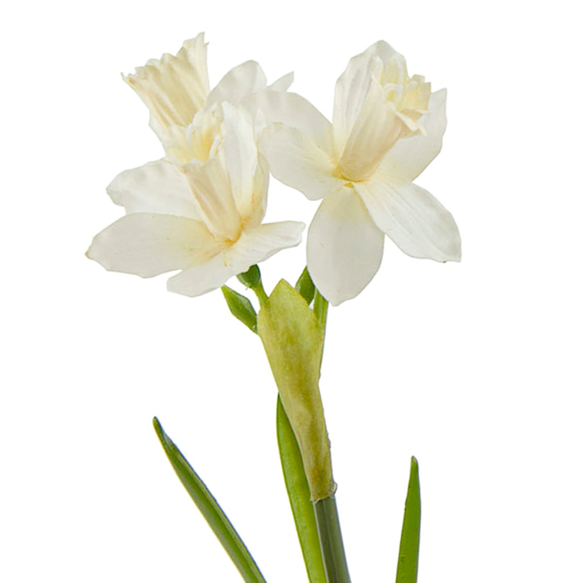 20.5" Natural Touch White Daffodils