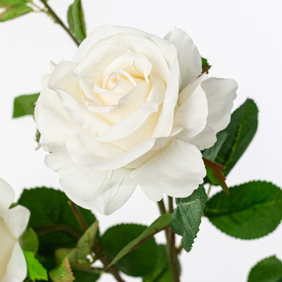30" White/Cream Rose Spray – Realistic Faux Floral Stem