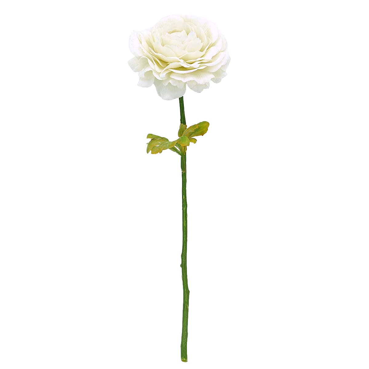 12" Real Feel Willow Crossley Cream Ranunculus Pick