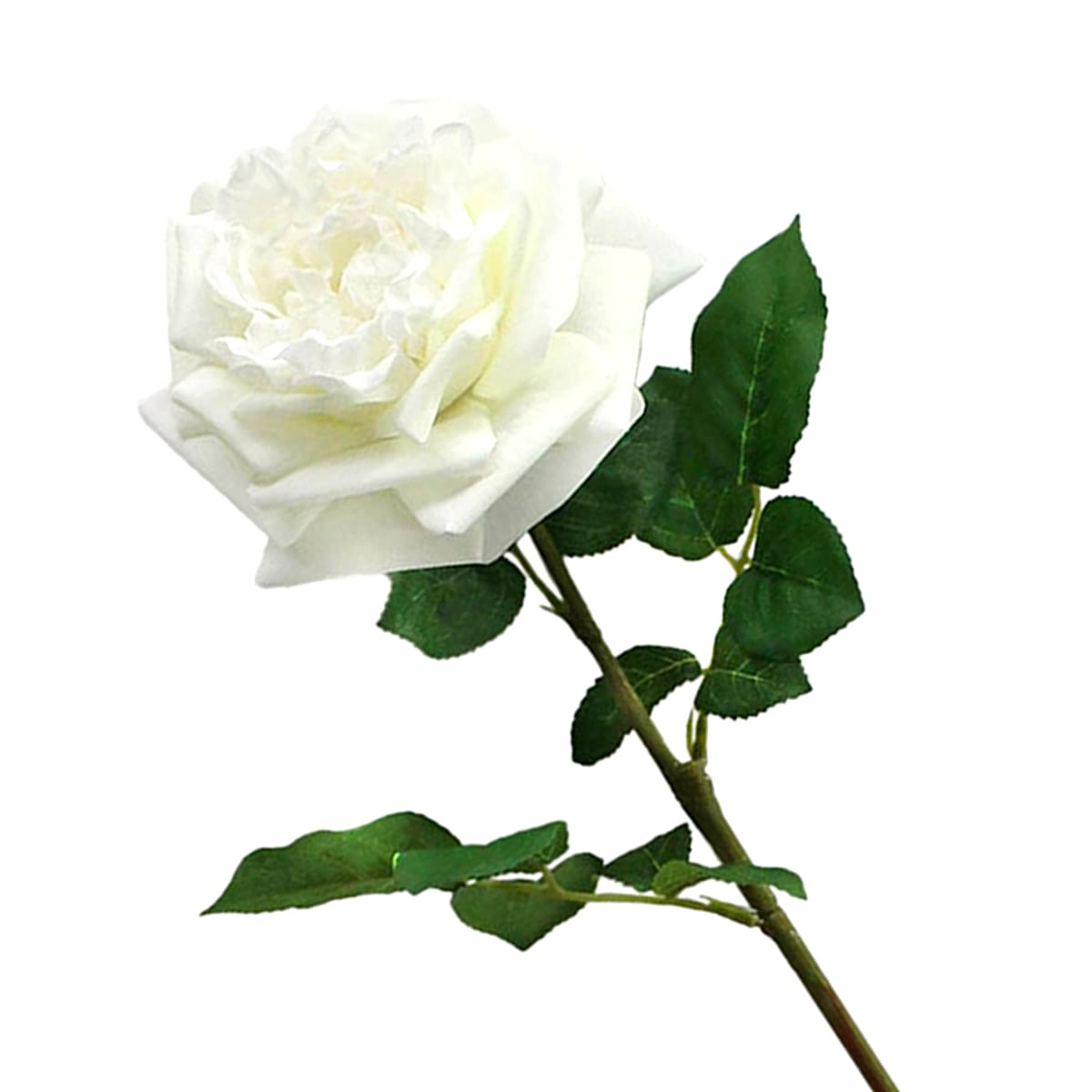 25.6" Real Toch White Rose Artificial Flower Stem