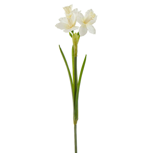 20.5" Natural Touch White Daffodils